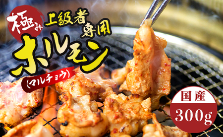 国産 牛 極上 上級者専用 ホルモン ( マルチョウ ) 300g 附属タレ付き