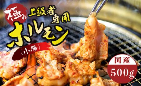 国産 牛 極上 上級者専用 ホルモン ( 小腸 ) 500g