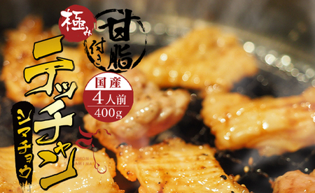 国産 黒牛 極み シマチョウ テッチャン 400g 附属タレ付き