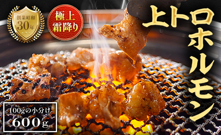 ɏ㑚~ gz 600g `̃^t z