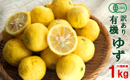 訳あり 有機 ゆず 約1kg (20個前後) 有機JAS認定 京都 柚子 柚