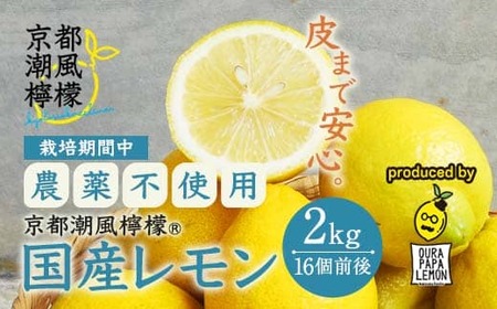 京都潮風檸檬(R) 国産レモン 2kg(16個前後) 栽培期間中農薬不使用 レモン れもん