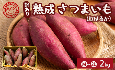 [1月以降発送] [訳あり] 舞鶴産 熟成さつまいも 2kg (紅はるか) 無選別 M〜2L混合