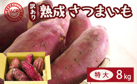 [訳あり] 舞鶴産 熟成さつまいも 8kg (紅はるか) 特大