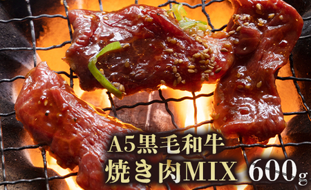 A5 黒毛和牛 焼肉用 600g : 3〜4人前 冷凍 150g×4袋 小分け 味付け肉 牛肉 焼き肉 自家製 旨辛タレ 焼き肉 味付け肉 熨斗 ギフト 贈り物 贈答用 プレゼント お歳暮 お歳暮