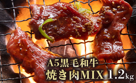 A5ランク 黒毛和牛 焼肉用MIX 1.2kg : 6〜8人前 自家製旨辛ダレ揉みこみ肉 焼き肉 バーベキュー BBQ 牛肉 和ギュ 黒毛 漬け込み肉 焼き肉用 旨辛 たれ漬け 熨斗 ギフト 贈り物 贈答用 プレゼント お歳暮 お歳暮