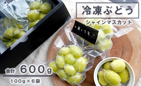 冷凍ぶどう シャインマスカット 600g : 100g ×6個 小分け 個包装 舞鶴 冷凍 凍結 果物 フルーツ 果物 瞬間冷凍 京都 舞鶴 アルギット葡萄