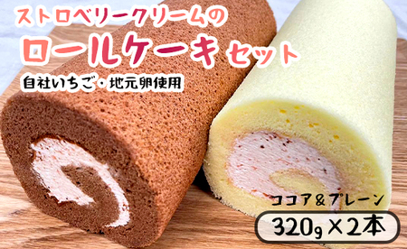 いちごクリームの ロールケーキ 2本 プレーンとココア : 320g×2 舞鶴産 イチゴ 苺 地元卵 ロールケーキ 洋菓子 ケーキ ストロベリー スイーツ セット