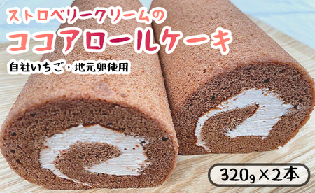 ストロベリークリーム の ココア ロールケーキ 2本 ココア : 320g×2 舞鶴産 イチゴ 苺 地元卵 ロールケーキ 洋菓子 ケーキ ストロベリー スイーツ セット