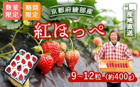 紅ほっぺ 400g(9〜12粒)[ べにほっぺ イチゴ 苺 いちご フルーツ 果物 農家直送 国産 贈答 贈り物 プレゼント お土産 綾部 京都 ]