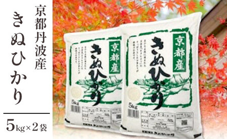 丹波産 きぬひかり 10kg(5kg×2)[ キヌヒカリ 米 お米 食味鑑定士が厳選 京都 綾部 コメ 10キロ 精米 白米 米 丹波 ]