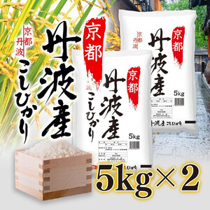 丹波産 こしひかり 10kg(5kg×2)[ 京都 綾部 お米 コメ 10キロ 精米 白米 コシヒカリ 米 丹波 ]