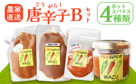 国産 唐辛子 4種セットB( 赤柚子胡椒 / 一味(鷹の爪) / 青唐辛子味噌 / にんにく味噌 )