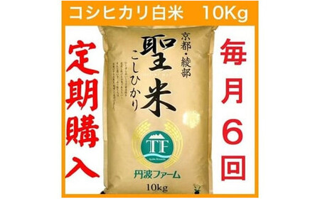 [令和6年産 新米][定期便6回・毎月15日お届け]京都府産コシヒカリ 白米 10kg×6回 半年 定期便 お米 米 白米 精米 こしひかり 国産 京都 綾部