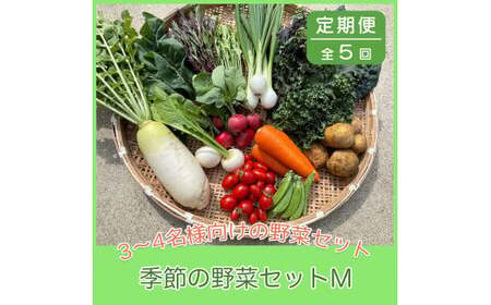 [5ヶ月定期便]無農薬 季節の野菜セットM 5〜8種類(約4kg)×5回[ 国産 旬 季節の野菜 詰め合わせ セット 農薬不使用 無農薬 産地直送 野菜定期便 定期便 京野菜 京都 綾部 ]