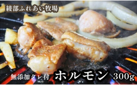 ホルモン焼き 300g(3〜4人前)京都牛と牧場の無添加たれで作るホルモン焼き [ 牛 牛肉 ホルモン 牛肉 ホルモン ]