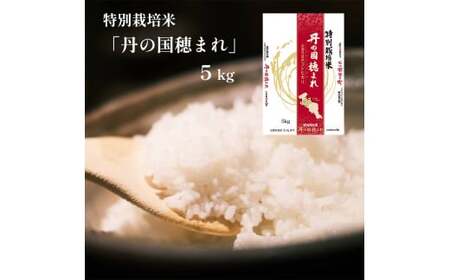 特別栽培米 コシヒカリ「丹の国穂まれ」 5kg こしひかり お米 米 綾部 京都