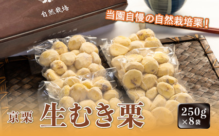 《11月発送》京栗 生むき栗 冷凍 2kg（250g×8袋） 栗 くり