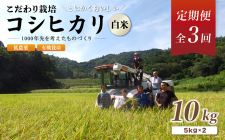 [定期便3回]有機栽培コシヒカリ白米 10kg 京都府産 低農薬 毎月お届け 3ヶ月[ 米 10キロ 精米 白米 こめ コメ お米 おこめ こしひかり 井上吉夫 米農家 有機栽培米 有機栽培 農家直送 減農薬 綾部市 京都府 ]