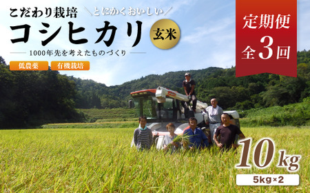 [定期便3回]有機栽培コシヒカリ玄米 10kg 京都府産 低農薬 毎月お届け 3ヶ月 [ 米 10キロ 玄米 こめ コメ お米 おこめ こしひかり 食物繊維 栄養 真空パック 井上吉夫 米農家 有機栽培 農家直送 減農薬 綾部市 京都府 ]