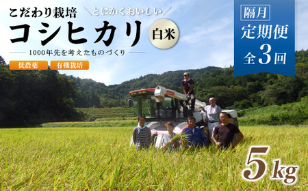 [定期便3回隔月お届け]有機栽培コシヒカリ白米 5kg×3回(隔月) 京都府産 低農薬 お届け[ 定期便 米 5キロ 精米 白米 こめ コメ お米 こめ こしひかり 井上吉夫 米農家 有機栽培 農家直送 減農薬 綾部市 京都府 ]