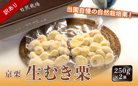 [2024年10月発送][訳あり]京栗生むき栗500g(250g×2袋)[ 丹波栗 くり 栗 むき栗 訳あり 訳あり]