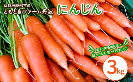丸かじりできる!葉付きにんじん 約3kg [ 人参 にんじん 人参 にんじん ]