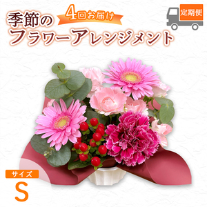 [4回定期便] 季節のフラワーアレンジメント (S) | 発送月固定 花 お花 生花 フラワー フラワーアレンジメント 花束 花の定期便 定期便 4回 配送地域限定 京都府 綾部市