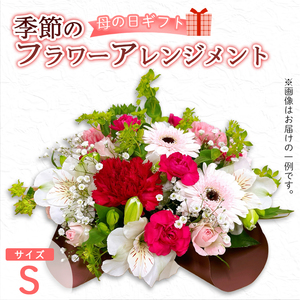 [母の日] フラワーアレンジメント(S) | 花 お花 生花 フラワー フラワーアレンジメント 花束 母の日限定 母の日ギフト 配送地域限定 京都府 綾部市