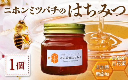 ニホンミツバチのはちみつ 300g×1本 | 蜂蜜 はちみつ ハチミツ 百花蜜