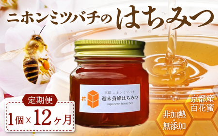 【定期便】 ニホンミツバチのはちみつ 300g×12回 | 蜂蜜 はちみつ ハチミツ 百花蜜