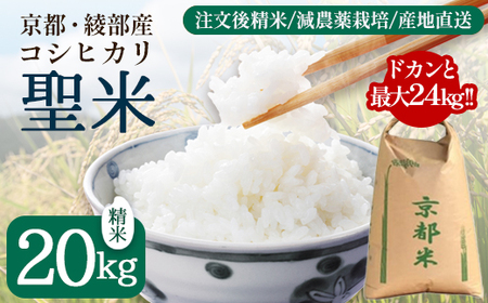業務用 京都府産コシヒカリ 聖米 白米 20kg 精米