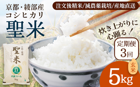 [定期便3回] 聖米(玄米) 5kg×3回 | 米 お米 こしひかり 玄米