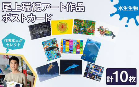 尾上瑞紀 アート作品 ポストカード(水生生物・計10枚) みー君 京都 宇治 水生 オリジナル 芸術 イラスト テレビ メディア SNS ギフト プレゼント イラスト 絵画 アーティスト クリエイター 応援 [uj-FC001-C][尾上瑞紀]