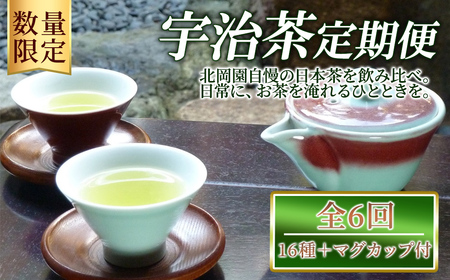 [数量限定][定期便・全6回]北岡園おすすめ茶セット(16種+マグカップ付) 京都 宇治 お茶 茶葉 煎茶 玉露 ほうじ茶 雁金 かりがね 玄米茶 フィルターインマグ マグカップ 飲み比べ [uj-FO005][北岡園]