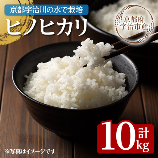 [数量限定・宇治市産][令和7年産]ヒノヒカリ(10kg) 米 10kg ヒノヒカリ 甘み 粘り 噛みごたえ バランス 弁当 京都巨椋池 琵琶湖 宇治川 [uj-FS002]