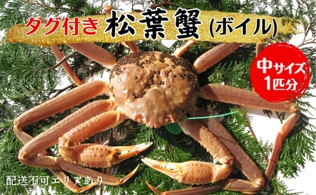 �I �^�O�t�� ���t�I (�{�C��) ��1�C��[ ���� �J�j ���t�K�j ]