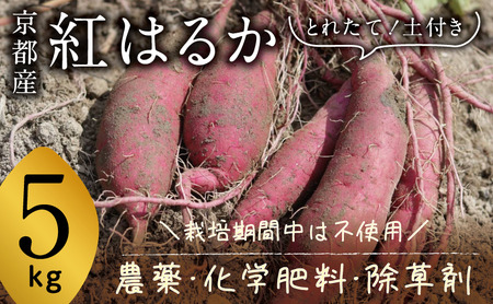 s{Y@Tc}C (g͂邩) 5kg@͔|Ԓ_Ew엿Eܕsgp