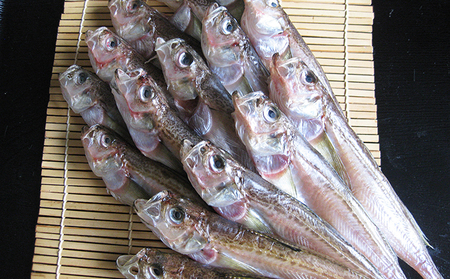 ハタハタ（中）干物 一夜干し 450g ×2箱 魚貝類 