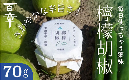 檸檬胡椒 70g レモン れもん 調味料 スパイス 薬味 京都府 宮津市