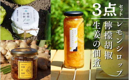 百章3点セット(檸檬胡椒・レモンシロップ・生姜の佃煮) レモン れもん 調味料 スパイス 薬味 レモネード 佃煮 詰め合わせ 京都府 宮津市