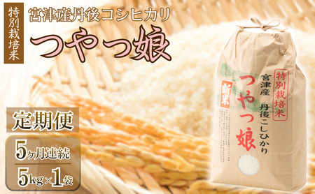 [定期便・全5回]令和7年産 特別栽培米「つやっ娘」 5kg×全5回 宮津産丹後コシヒカリ 発送月固定(4月・5月・6月・7月・8月配送)│新生活 応援 産地 精米 白米 コメ こしひかり25kg 天橋立