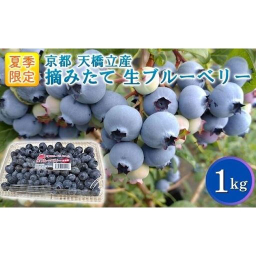 【ふるさと納税】令和8年夏季予約販売 摘みたて 生ブルーベリー 1kg 〈お届け：2026年8月末まで 〉フルーツ ブルーベリー