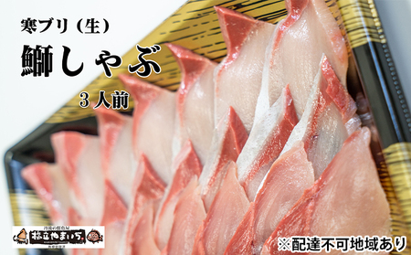 [ふるさと納税]寒ブリ(生・刺身可)しゃぶしゃぶ用(3人前分)魚貝類 魚 海鮮 ブリ 冬ギフト 刺身 しゃぶしゃぶ ブリしゃぶ 鰤 和食