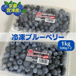 京都 天橋立産 冷凍 ブルーベリー 1kg(500g×2パック)