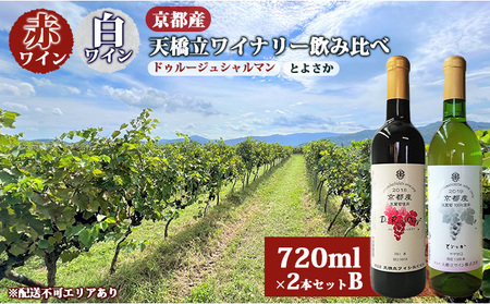 赤ワイン ・ 白ワイン 京都産 天橋立ワイナリー 飲み比べ 720ml×2本セットB( 2022ドゥルージュシャルマン やや甘口 、とよさか 甘口 )