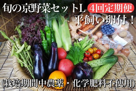 [4回定期便][アスカ有機農園]旬の京野菜セットL(平飼い卵付)定期便*毎月お届け全4回定期便≪野菜定期便 ふるさと納税野菜定期便 野菜詰め合わせ 野菜セット 野菜定期便≫