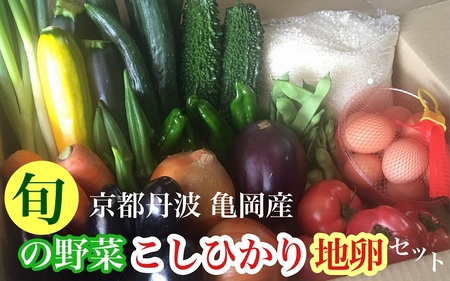 京都丹波・亀岡発 旬の野菜・こしひかり・地卵 詰め合わせセット◇ ※北海道・沖縄・離島への配送不可