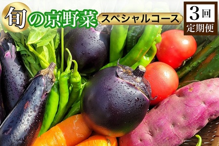 野菜 3回定期便 旬の京野菜 スペシャルコース 野菜 野菜詰め合わせ 野菜セット 厳選野菜 旬野菜 京野菜