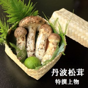 先行予約】数量限定 丹波松茸（篭入り）特選上物＜丹波四季菜料理 宮本屋＞≪松茸 丹波松茸 天然松茸≫  ※天然物のため10月頃～11月頃に入荷次第順次発送予定 ※配送不可地域ありのレビュー | ふるさと納税ランキングふるなび